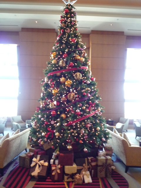 20081206.xmas1.jpg