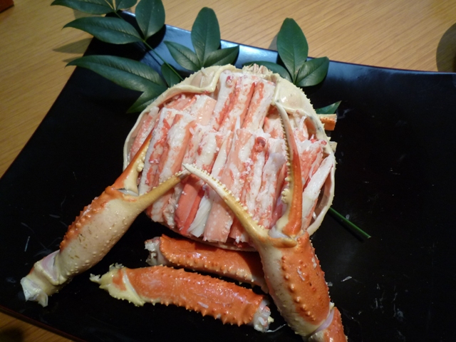 20130101_gantan2.JPG
